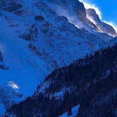 Romantisches Plaetzchen In Der Natur Grindelwald Bagian luar foto