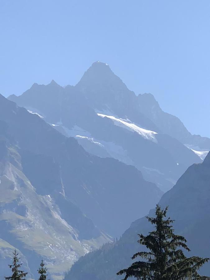 Romantisches Plaetzchen In Der Natur Grindelwald Bagian luar foto