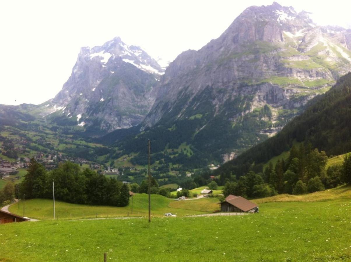 Romantisches Plaetzchen In Der Natur Grindelwald Bagian luar foto