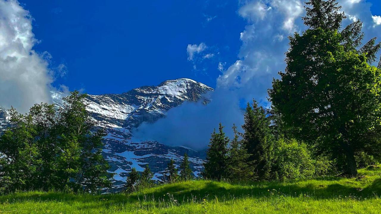 Romantisches Plaetzchen In Der Natur Grindelwald Bagian luar foto