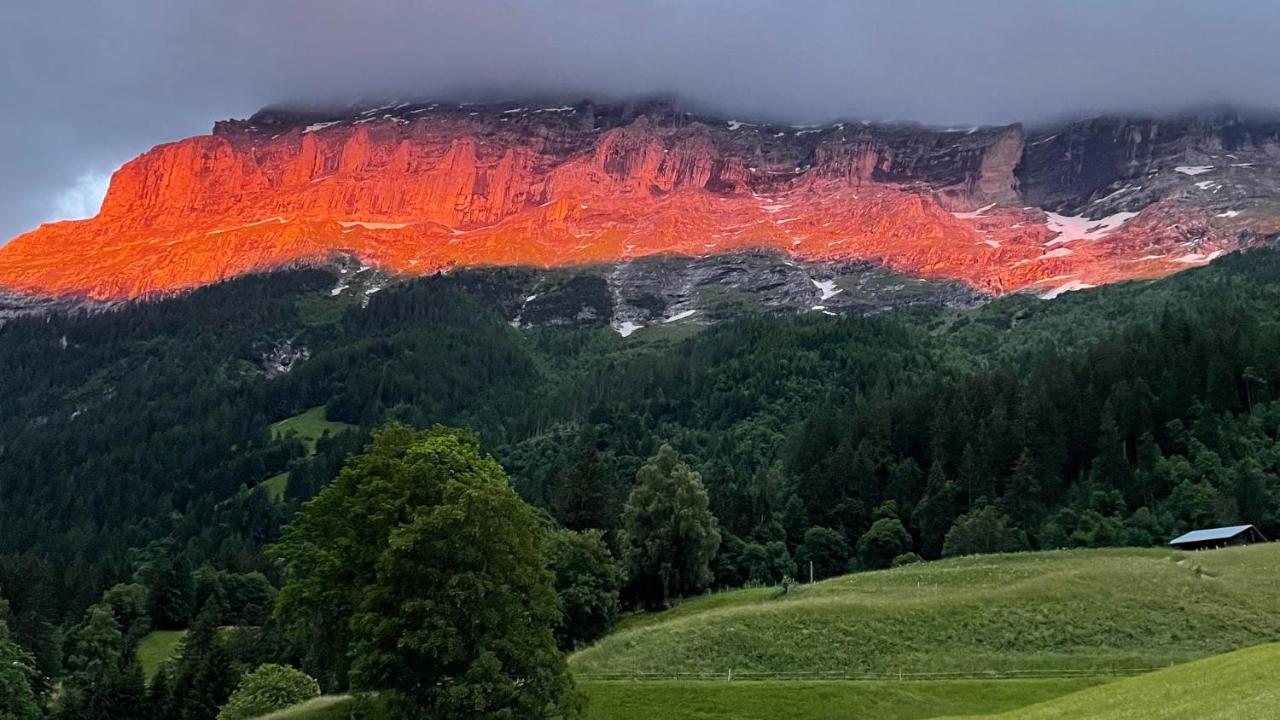 Romantisches Plaetzchen In Der Natur Grindelwald Bagian luar foto