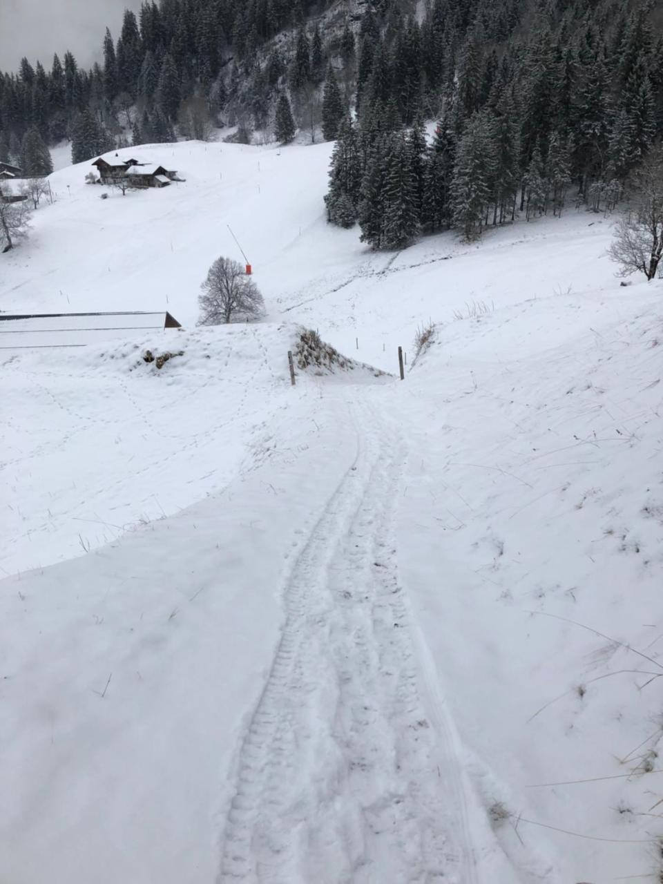 Romantisches Plaetzchen In Der Natur Grindelwald Bagian luar foto