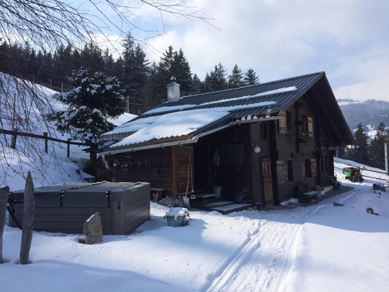 Romantisches Plaetzchen In Der Natur Grindelwald Bagian luar foto